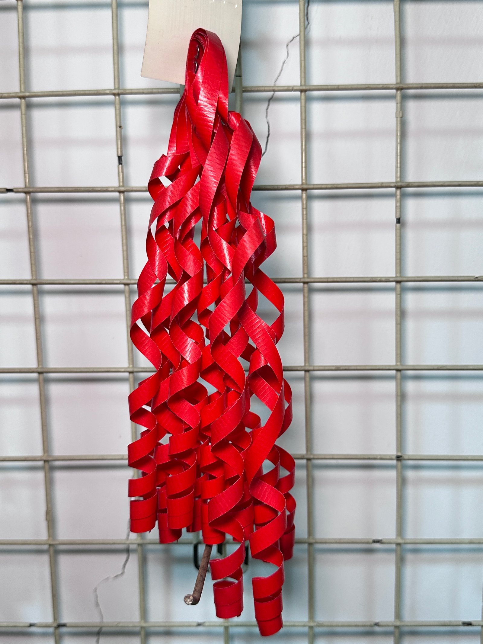 Curly Bow 17